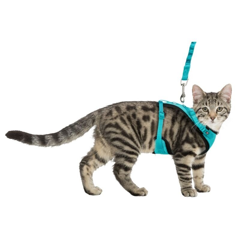 Trixie Y-harness for cats