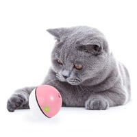 Edupet Cat Love Cat Ball