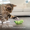 Petstages Crunchy Pickle Kicker