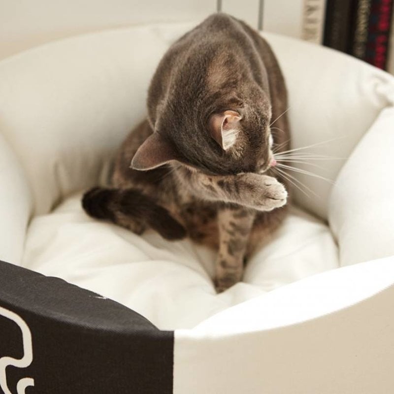 MyKotty OTI design cat bed