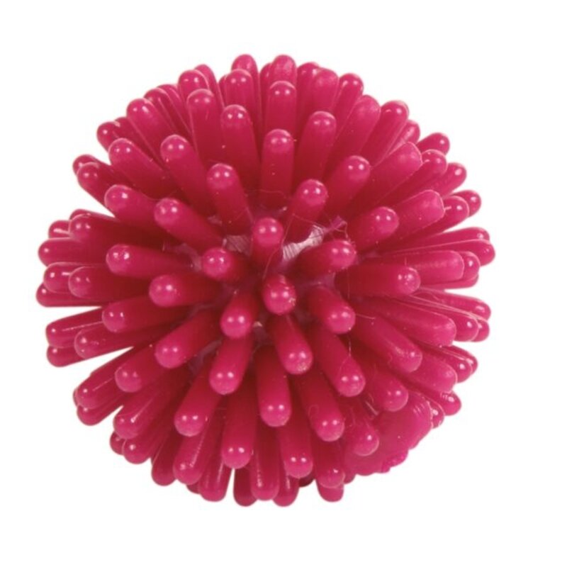 Trixie Spike ball