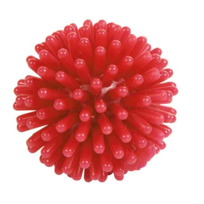Trixie Spike ball