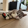 Yeowww! La CAT-rina