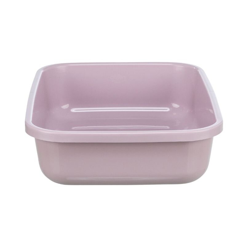 Karlie/Flamingo kitten cat