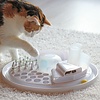 Edupet Cat Center