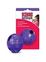 Kong Treat Ball