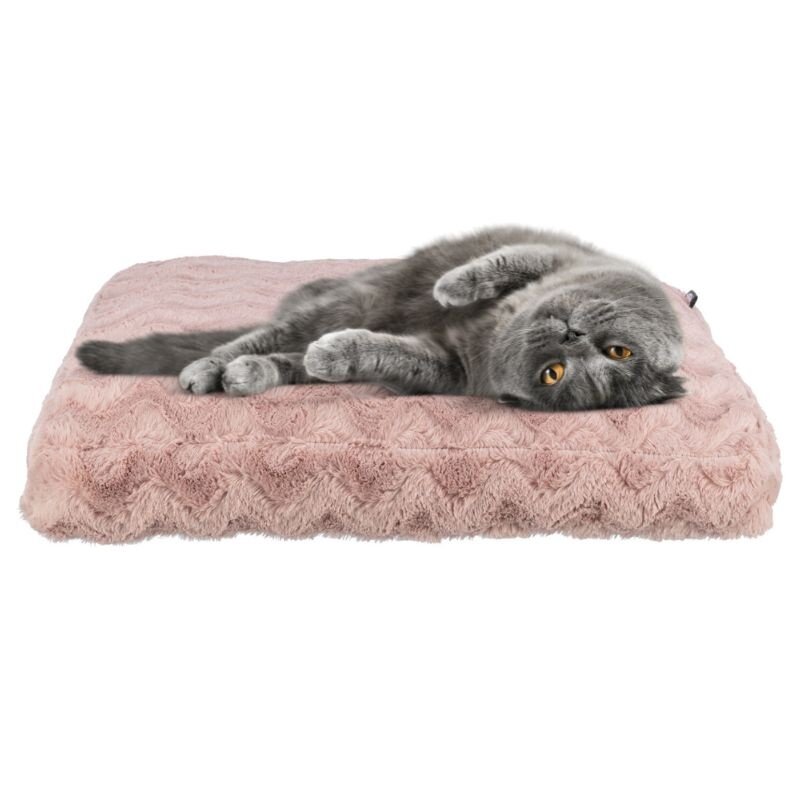Trixie Orthopedic Cushion Loki