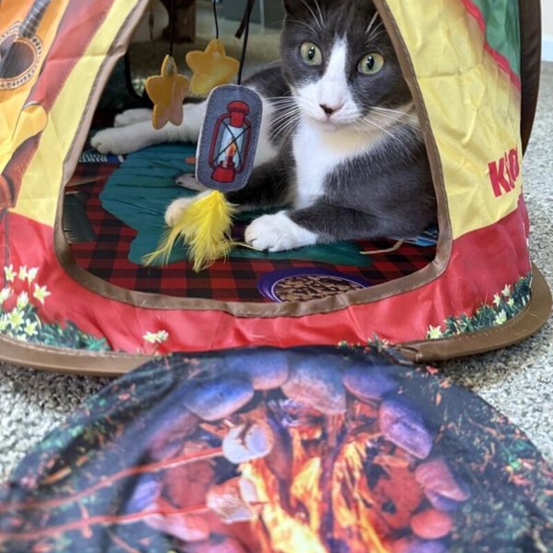 Kong Play Spaces Glamping Tent