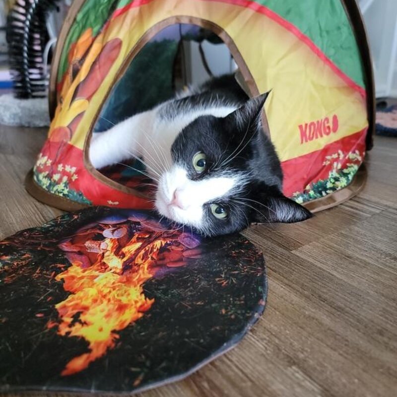 Kong Play Spaces Glamping Tent