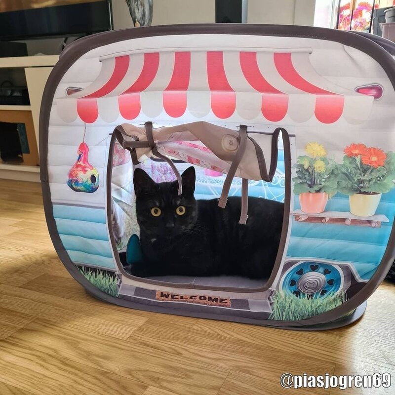 Kong Play Spaces Camper