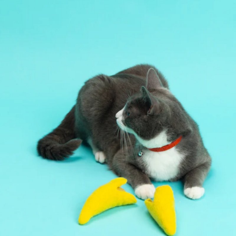 Mimis Daughters Banana Split