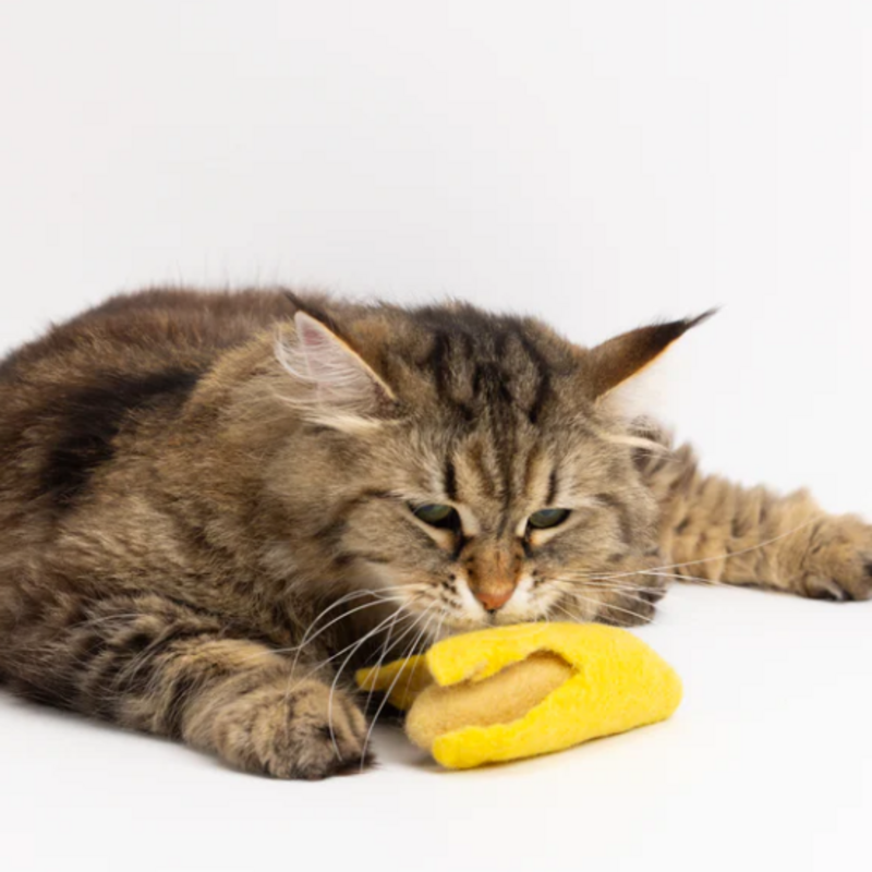 Mimis Daughters Banana Split