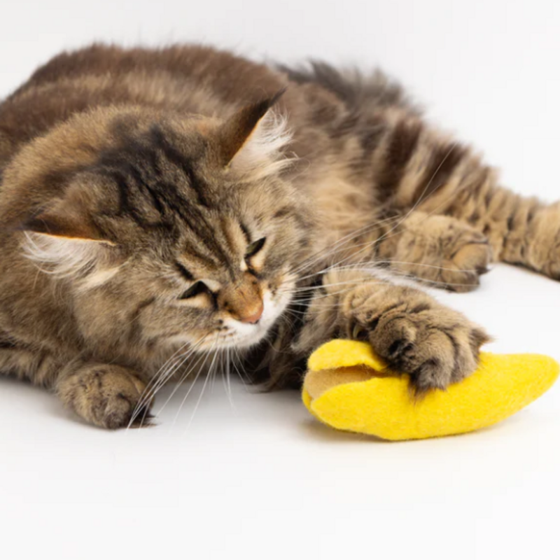 Mimis Daughters Banana Split