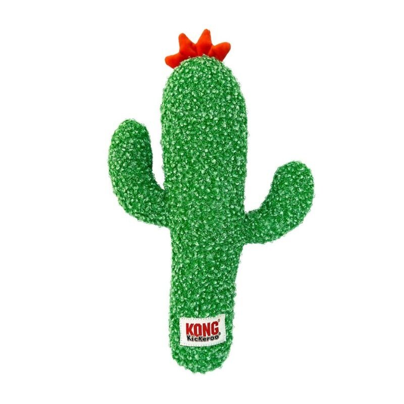 Kong Kong Kickeroo Cactus