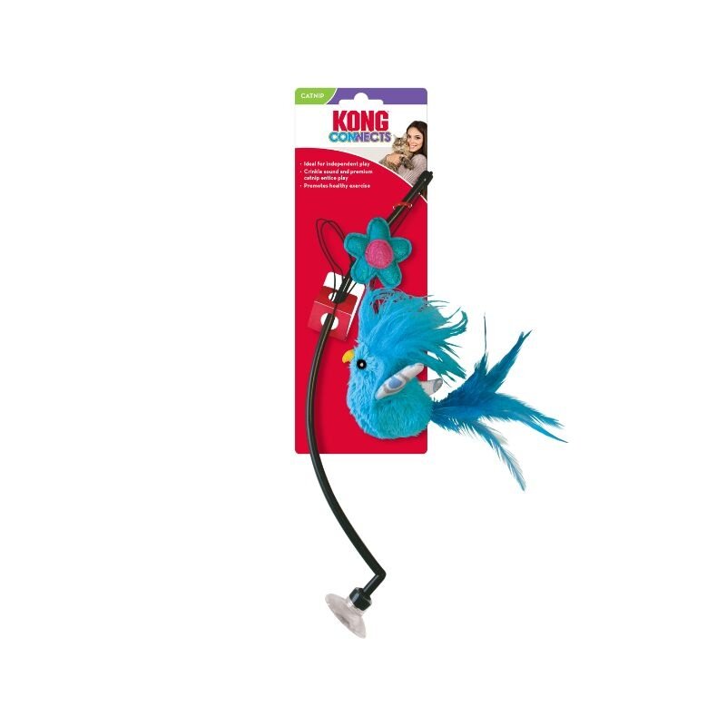 Kong Connects Window Teaser