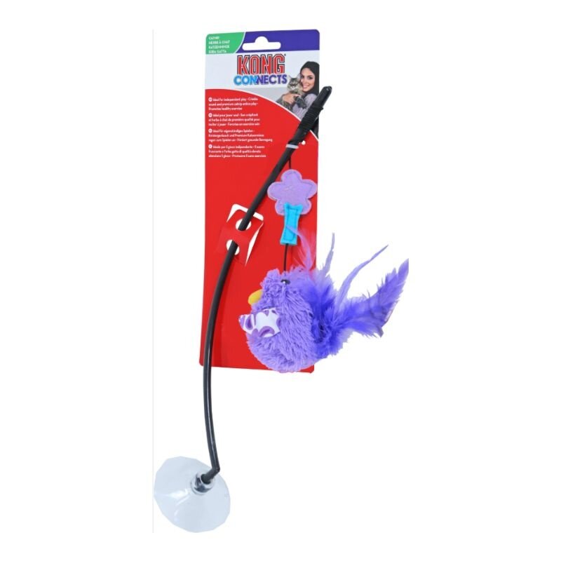 Kong Connects Window Teaser