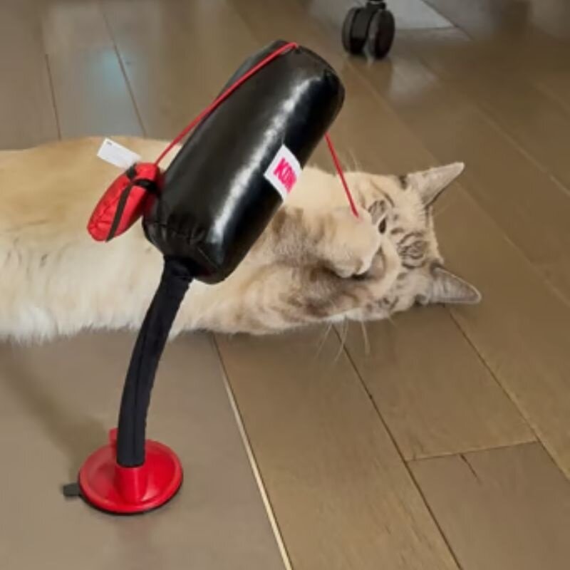 Kong Connects Punching Bag