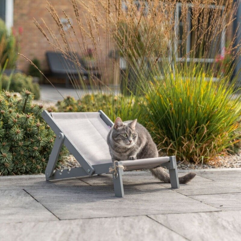 Trixie Outdoor beach chair for cats