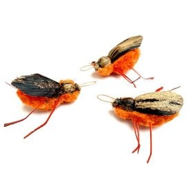 Purrs Stink Bug