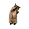CatDancerProducts Ring Tail Chaser