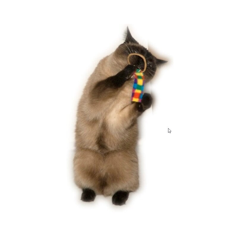 CatDancerProducts Ring Tail Chaser