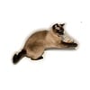 CatDancerProducts Ring Tail Chaser