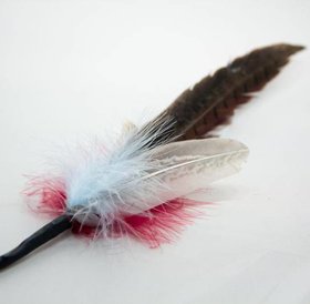 Flying Frenzy Pheasant Tail