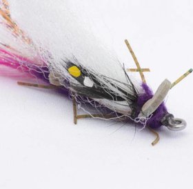 Purrs Sprinkhaan (locust)