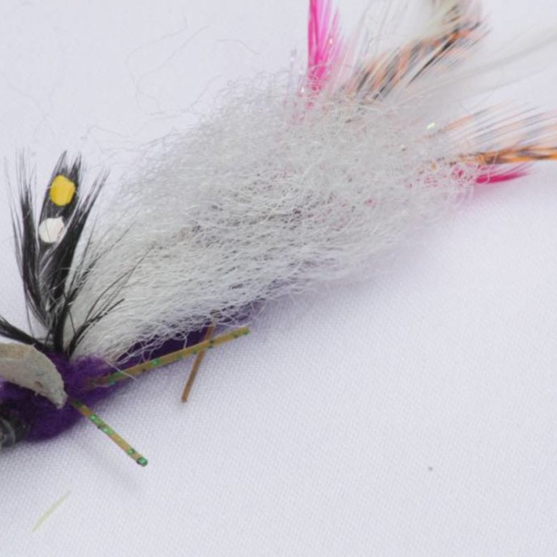 Purrs Sprinkhaan (locust)