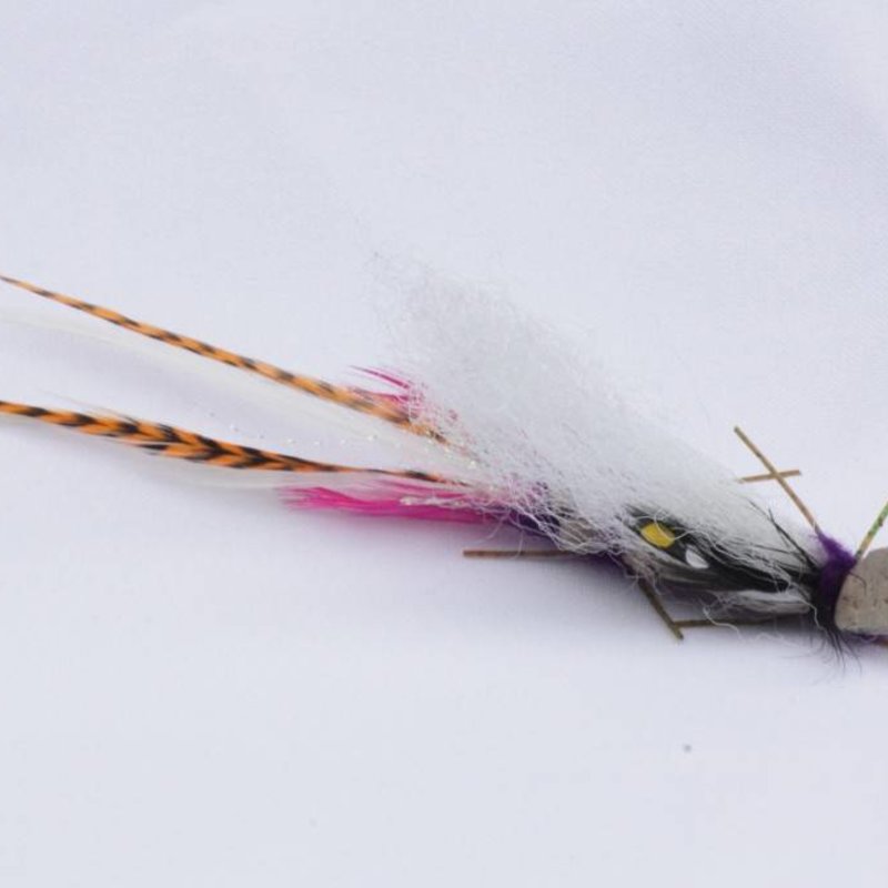 Purrs Sprinkhaan (locust)