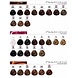 Loreal DIA Richesse Haarverf (50ml) Loreal DIA Richesse Haarverf (50ml)