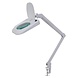 Orthofex Loeplamp LED met Vergrootglas 64 LEDS Orthofex Loeplamp LED met Vergrootglas 64 LEDS