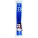 Balmain Fill-in Extensions Straight Fiber Fantasy Colors 45cm Balmain Fill-in Extensions Straight Fiber Fantasy Colors 45cm