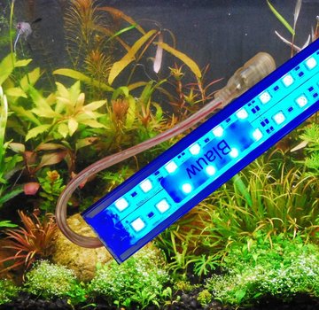 Blauwe LED aquarium verlichting