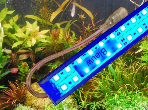 Blauwe LED aquarium verlichting