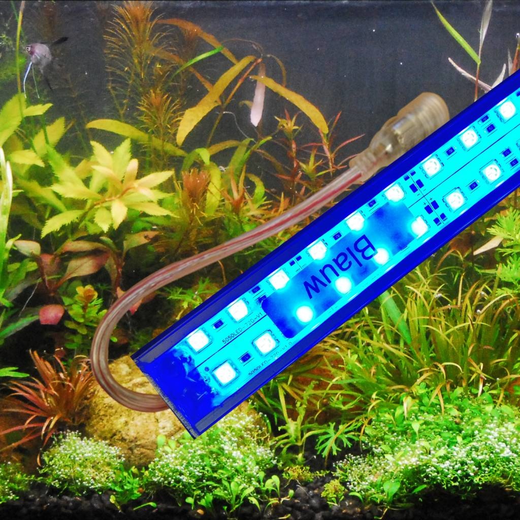 Blauw aquarium verlichting van buyatjohn is super Buyatjohn inzake