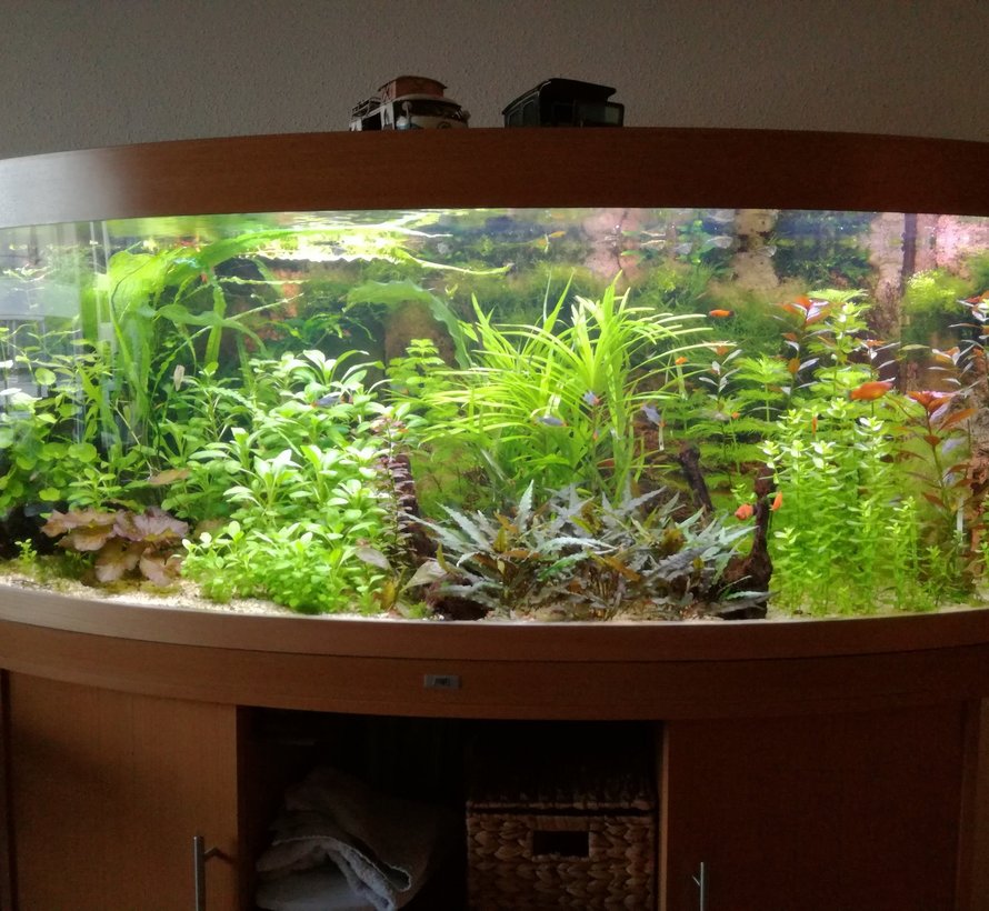 Cichlide aquarium LED verlichting  (dubbele ledstrip) alle lengtes.