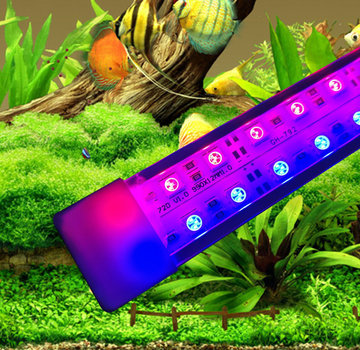 Rood blauwe LED aquarium verlichting 2 kabels