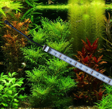 RGBW Aquarium led verlichting (koudwit, rood, blauw en  groen)