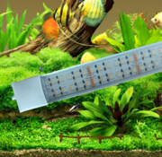 RGBWW 24 volt Aquarium led verlichting (warmwit, rood, blauw en  groen)