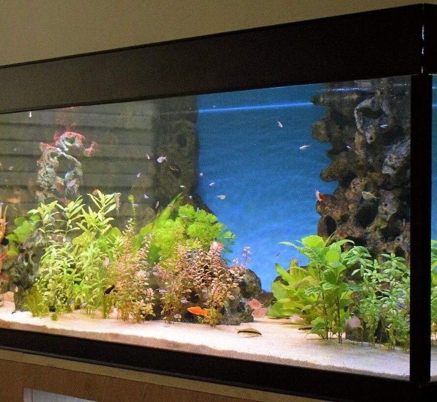 24 volt Cichlide set met combi led balken 6500K + 12000K