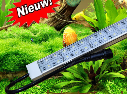 12 volt RGBW / RGBWW combi led balk (warmw it, koud wit, rood,  blauw en groen.