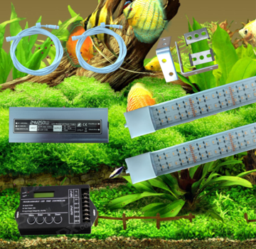 Buyatjohn 24 volt combi Cichlide set RGBW/RGBWW met combi led balk koudwit 6500k / blauw  12000k