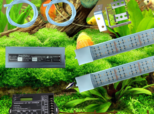 Buyatjohn 24 volt combi Cichlide set RGBW/RGBWW met combi led balk koudwit 6500k / blauw  12000k