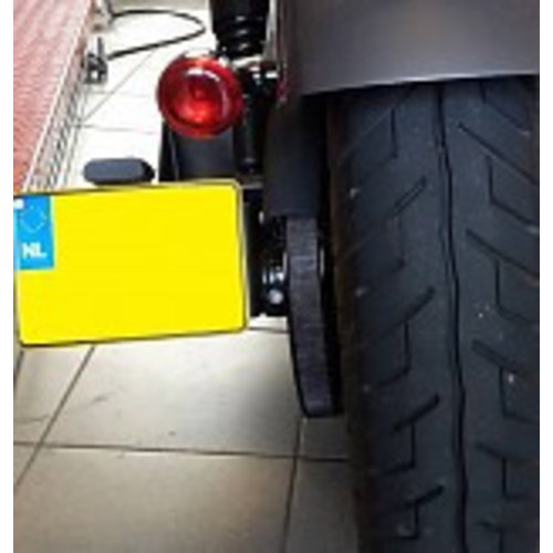 Side Mount with License plate light