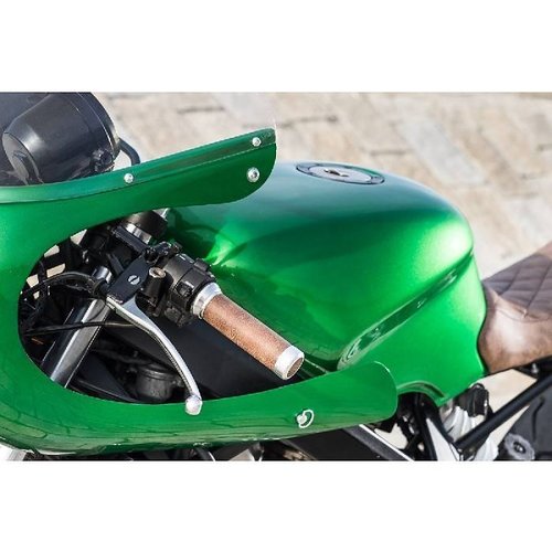 Scheide / Screen für fairing type 2