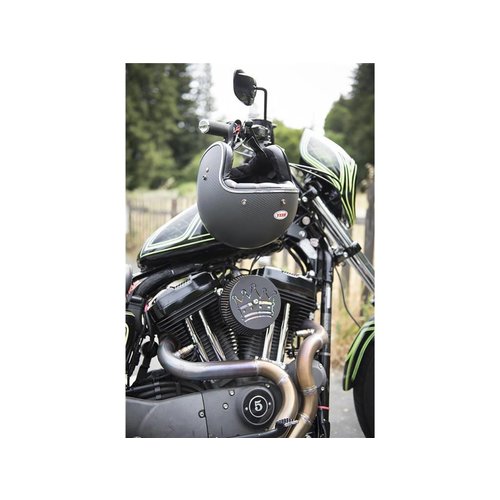 Bell Casque en carbone Custom 500 Carbon Matte