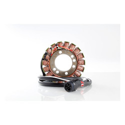 Stator Kawasaki: 02-03 ZX1200 Ninja ZX12R 1200cc