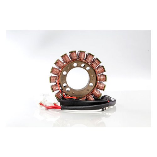 Rick's Electrics Stator Kawasaki: 04-05 ZX1200 Ninja ZX12R 1200cc