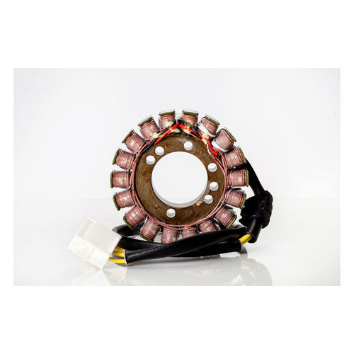 Rick's Electrics Stator Yamaha: 01-05 FZ1 1000cc